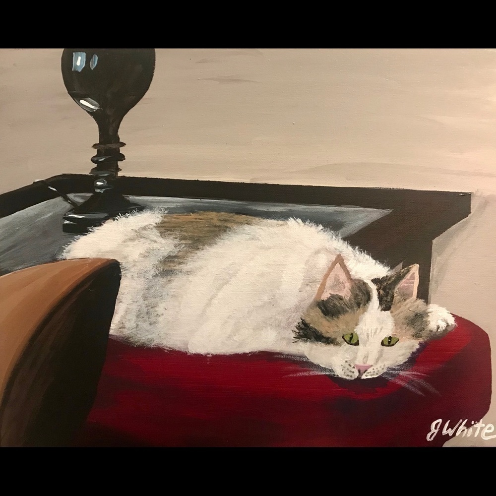 MAC the 90 year old cat! Cat portraits - Picture 1 of 1